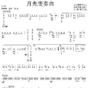 琵琶谱 | 月光变奏曲 安德列耶夫曲 刘德海改编
