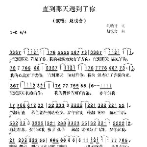 直到那天遇到了你_通俗唱法乐谱_词曲:刘晓飞 赵悦含