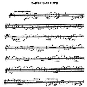 小提琴谱 | Baidin Fheilimidh 爱尔兰曲调