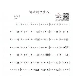 海边的陌生人_歌谱投稿_词曲:佚名 陆春生