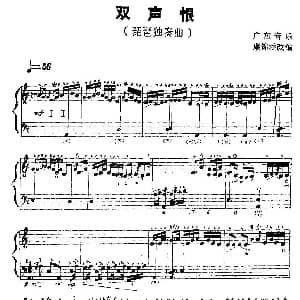 琵琶谱 | 双声恨 广东音乐 康锦添改编