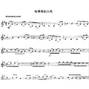 小提琴谱 | 稻草里的火鸡