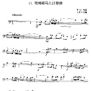 我骑着马儿过草原 大提琴 李巨川曲 王连三改编