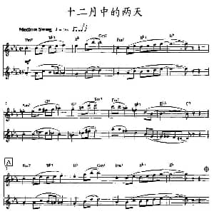 长笛曲谱 | 十二月中的两天 双长笛
