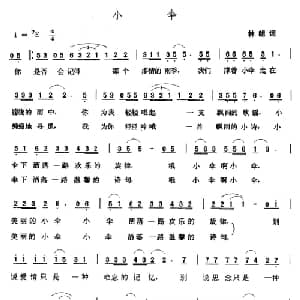 小伞_通俗唱法乐谱_词曲:林朗 张玉晶