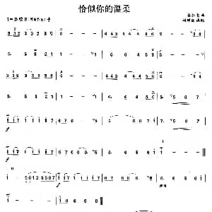 笛子谱 | 恰似你的温柔 梁弘志