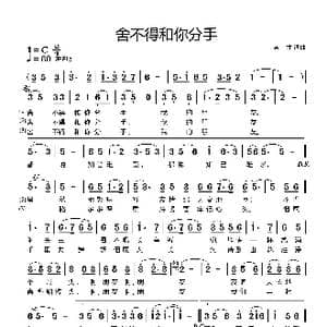舍不得和你分手_歌谱投稿_词曲:湛才 湛才