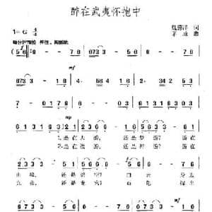 醉在武夷怀抱中_民歌简谱_词曲:魏德泮 茅地