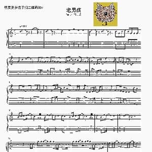 老男孩_歌曲简谱