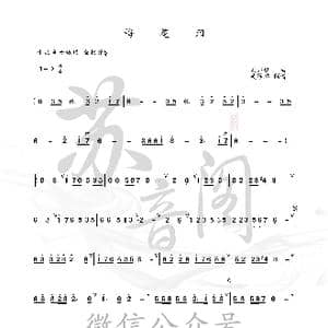 梅花泪_歌曲简谱