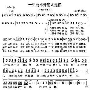 一生离不开的人是你_歌曲简谱_词曲:高枫 高枫