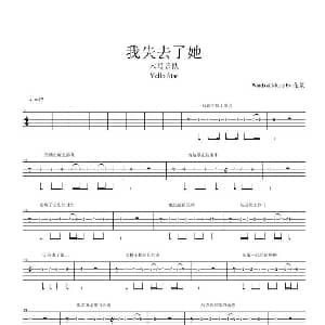 我失去了她 吉他谱 木马乐队