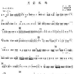 月影寒梅 高胡 吕文成