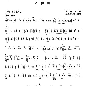 二胡谱 | 采槟榔 湖南民歌 王莉莉订谱