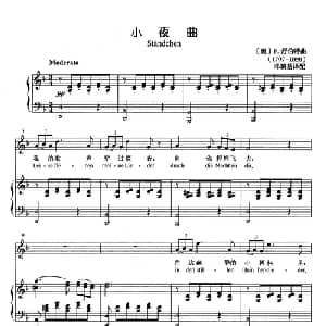 小夜曲 奥地利 _外国歌谱_词曲: 奥 F.舒伯特