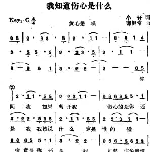 我知道伤心是什么_通俗唱法乐谱_词曲:小轩 谭健常
