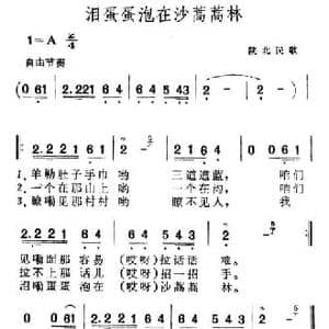 泪蛋蛋泡在沙蒿蒿林_民歌简谱_词曲: 陕北民歌
