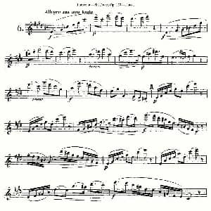长笛曲谱 | Six Duets, Op.137 之六 二重奏 六首作品 137号 Furstenau 福斯特劳