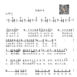 寒鸦少年_通俗唱法乐谱_词曲:丁彦雪 华晨宇