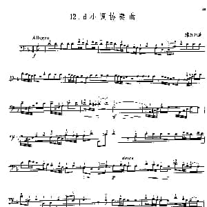 d小调协奏曲 大提琴 维瓦尔迪