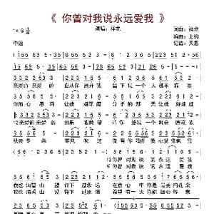 你曾对我说永远爱我_歌曲简谱_词曲:祥龙 祥龙