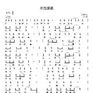 不负温柔_歌谱投稿_词曲:丁忠华 九九