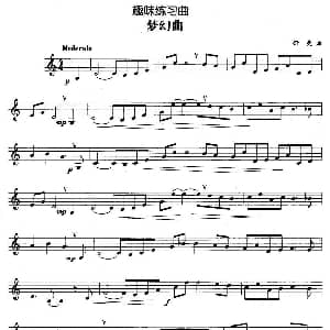 趣味练习曲 梦幻曲 舒曼