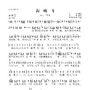 海鸥飞_歌曲简谱_词曲:刘爽 张丰