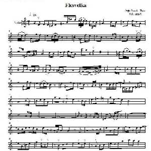 小提琴谱 | Flesvelka