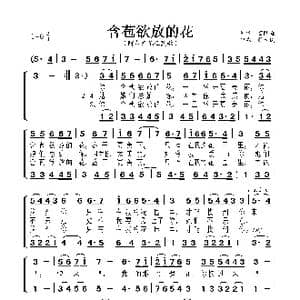 含苞欲放的花_歌曲简谱