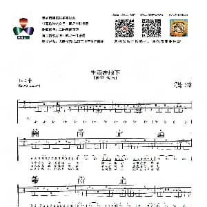 生活在地下 吉他谱 赵雷 小索 小索