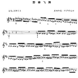 琵琶谱 | 野蜂飞舞 里姆斯基 科萨科夫