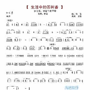 生活中的的茶树香_歌谱投稿_词曲: 佚名