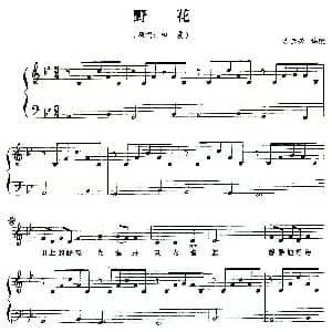 野花 钢琴谱