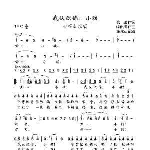 我认识你,小孩_歌曲简谱_词曲:晓城 仲伟成