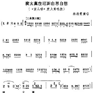 京剧谱 | 窦太真在昭阳自思自想 望儿楼 窦太真唱腔 林雅雯