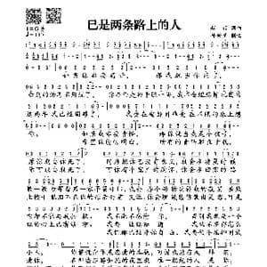 已是两条路上的人_歌谱投稿_词曲:赵雷 赵雷