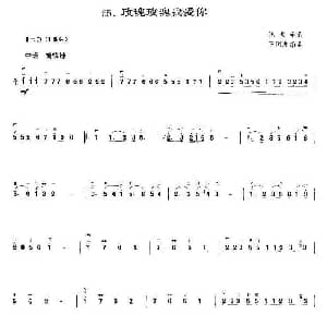 二胡谱 | 玫瑰玫瑰我爱你 陈歌辛曲 王国潼编曲 陈歌辛