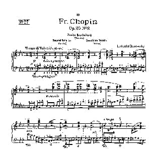 53首以肖邦练习曲为素材而作的练习曲 钢琴谱 里奥鲍尔德 戈多夫斯基