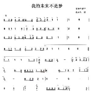 古筝谱 | 我的未来不是梦 张雨生
