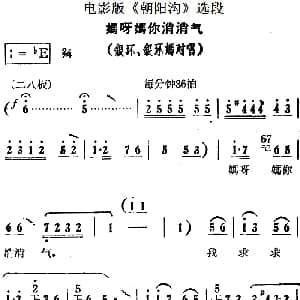 豫剧谱 | 妈呀妈你消消气 电影版 朝阳沟 选段 银环 银环妈对唱