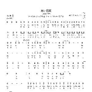 日 月と花束_歌曲简谱_词曲:酸欠少女さユり 酸欠少女さユり