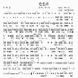 毛毛草_歌曲简谱_词曲:田一龙 田一龙