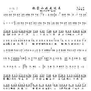 傣家小妹走过来_歌曲简谱_词曲: 石荣康