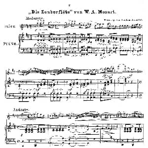 长笛曲谱 | Opern Transcriptionen.Op.45 8 长笛 钢琴伴奏