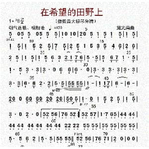 在希望的田野上_歌曲简谱_词曲: 李国林配器