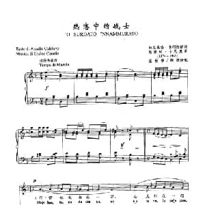 ​14热恋中的战士 意大利 _外国歌谱_词曲: 意 A 卡利法诺 意 E 卡尼奥