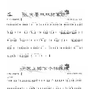 葫芦丝谱 | 葫芦丝曲精选 夫妻双双把家还 天上掉下个林妹妹 王甲坤 王甲华编著