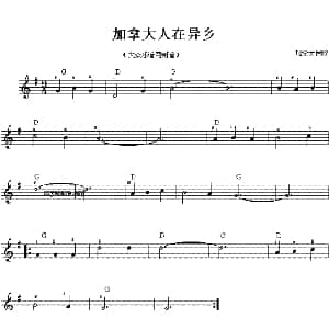 电子琴谱 | 加拿大人在异乡