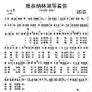 我在纳林湖等着你_歌曲简谱_词曲:孙德明 孙德明